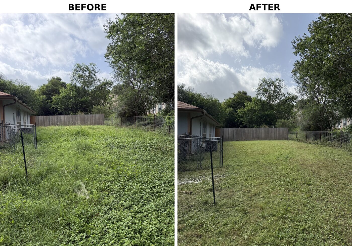Backyard before and after: overgrown grass and weeds cleared into a clean mowed lawn