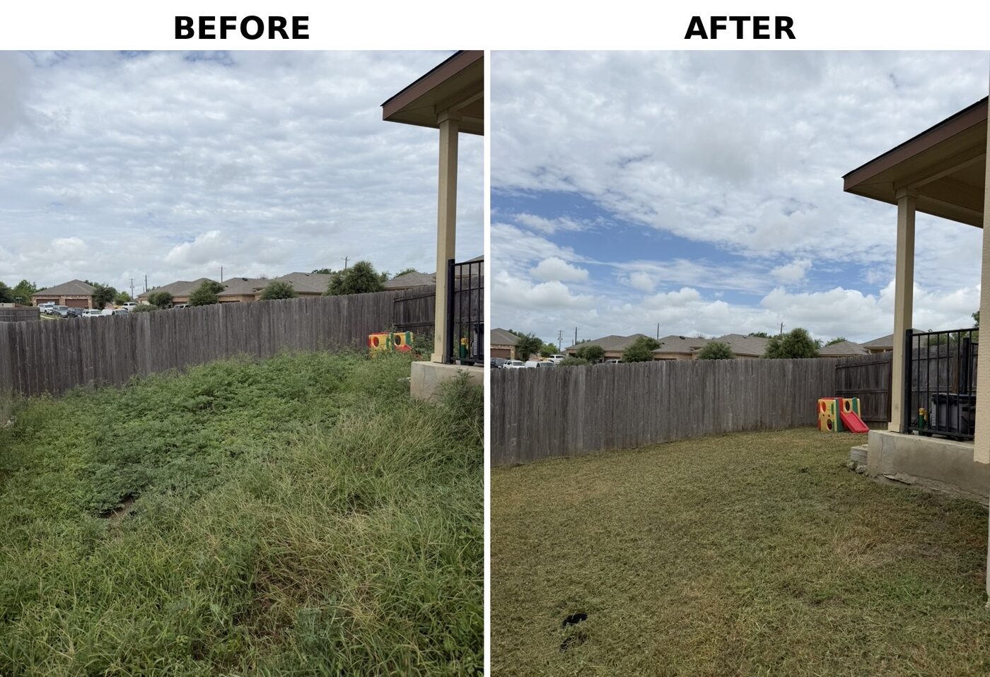 Patio yard before and after: dense overgrowth cleared to an even lawn