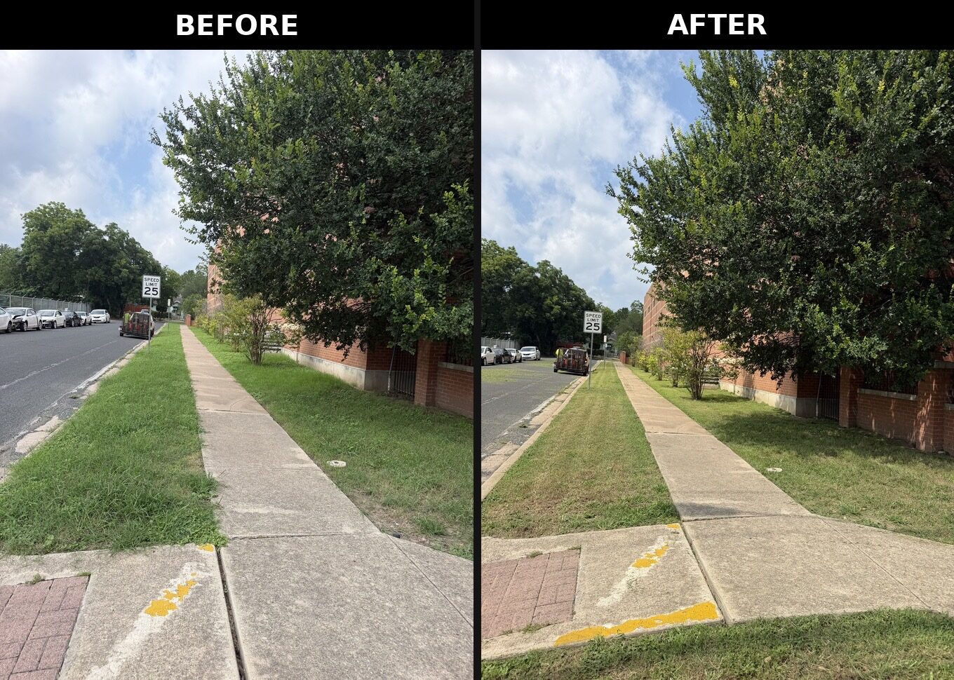 Sidewalk edging before and after: shaggy edge trimmed clean along the walkway